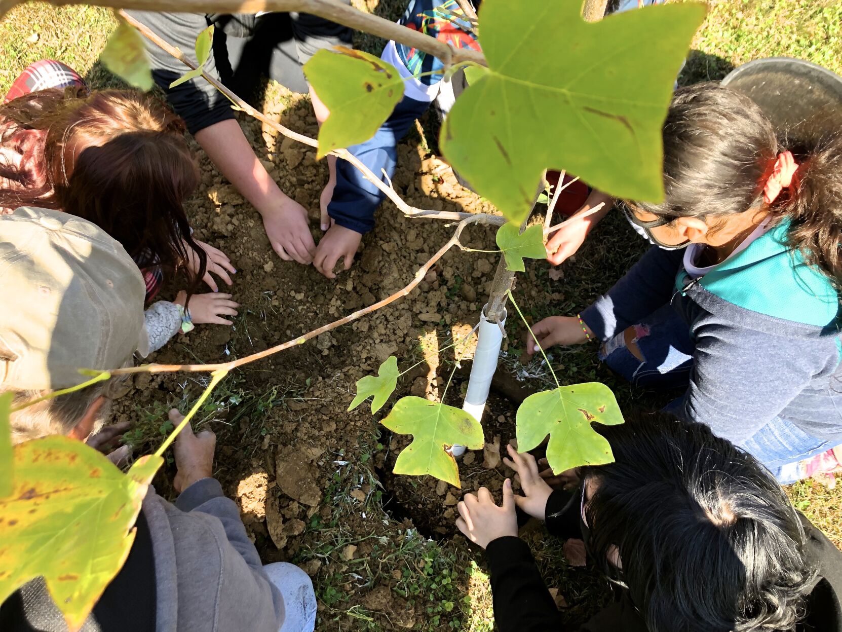 Trees Forever planting at James